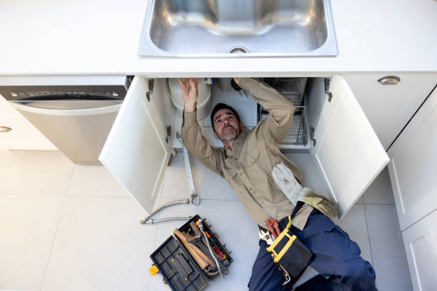 Best Affordable Plumber Near Me  in Oakwood, IL