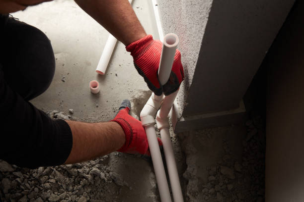 Best Local Plumber Services  in Oakwood, IL