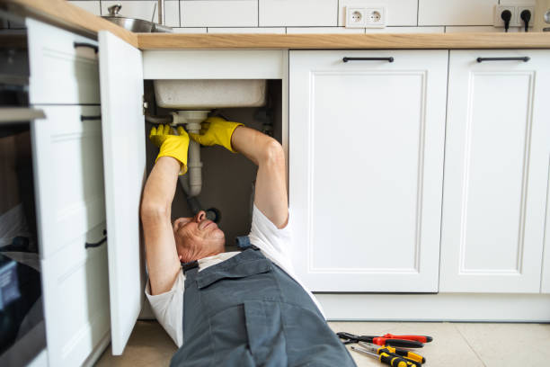  Oakwood, IL Plumbing Pros