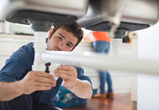 Best Affordable Plumbing Services  in Oakwood, IL