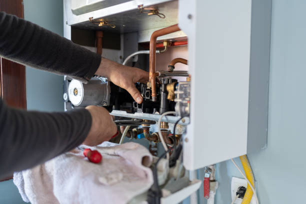 Best Plumbing Inspection Services  in Oakwood, IL