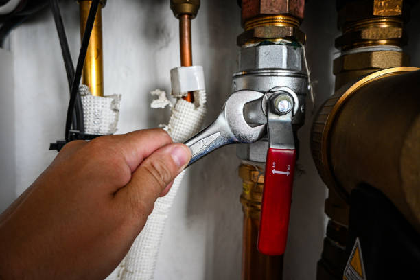 Boilers & Radiators in Oakwood, IL
